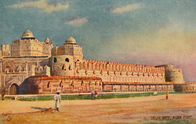Porte de Delhi, Fort d