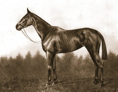 Démure, 1911 - Unbekannt