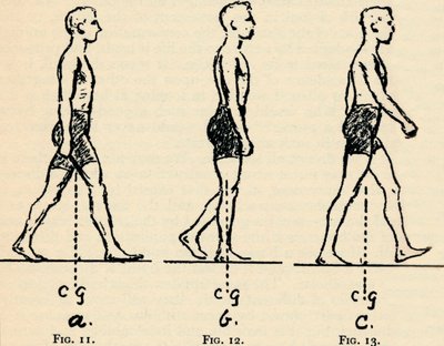 Principes principaux de la locomotion, 1940 - Unbekannt