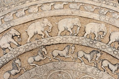 Détail; relief en pierre historique; pierre de lune avec représentations animales; éléphants; chevaux; pierre sur un escalier; Salle du Conseil du roi Parakrama Bahu I; quartier de la ville intérieure; Polonnaruwa; Sri Lanka; Asie - Unbekannt