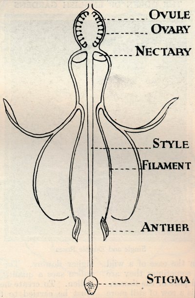 Diagramme d