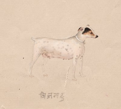 Chien, 1800s - Unbekannt
