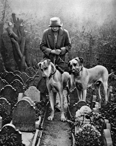 Cimetière pour chiens, Victoria Gate, Bayswater, Londres, 1926-1927 - Unbekannt