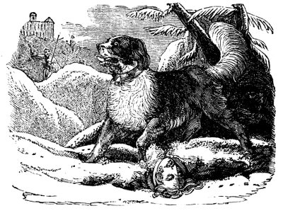 Chien de l