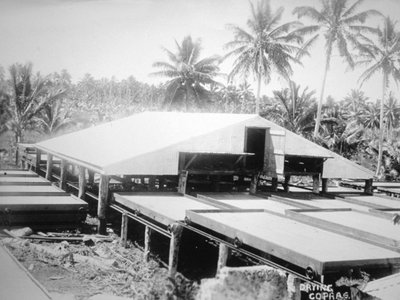 Séchage de coprah, Îles Salomon, Fidji, 1905 - Unbekannt