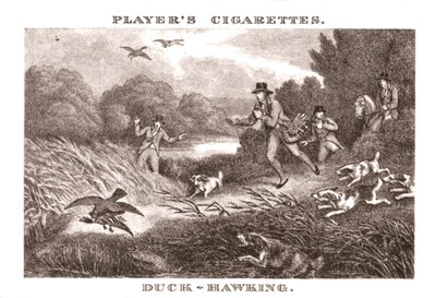 Chasse au canard, 1924 - Unbekannt