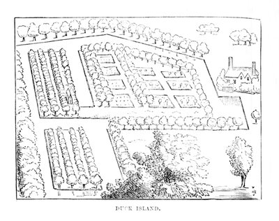 Île aux Canards, vers 1870 - Unbekannt
