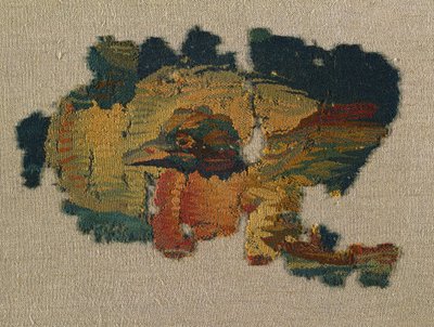 Tête de canard d