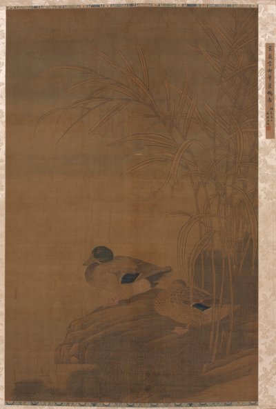 Canards sous les roseaux - Unbekannt
