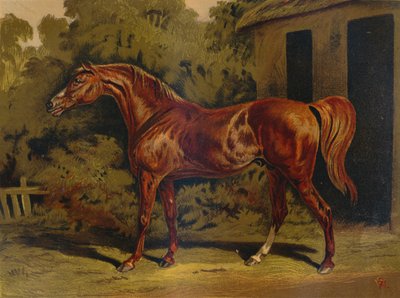 Éclipse, c1879 - Unbekannt