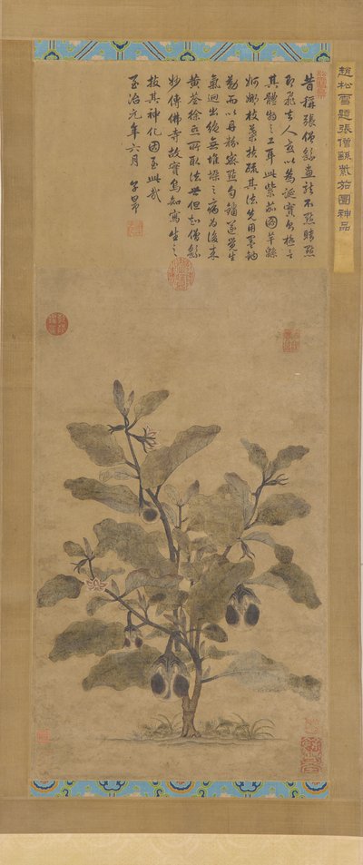 Aubergine, dynastie Ming, 1368-1644 - Unbekannt