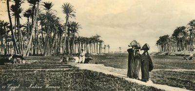 Égypte - Femmes indigènes, vers 1918-1939 - Unbekannt