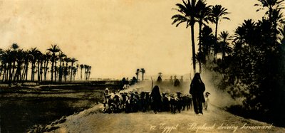 Égypte - Berger rentrant chez lui, vers 1918-1939 - Unbekannt