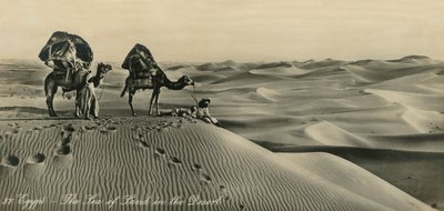 Égypte - La Mer de Terre dans le Désert, vers 1918-1939 - Unbekannt