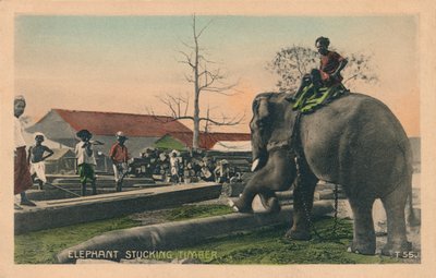 Éléphant transportant du bois, vers 1900 - Unbekannt