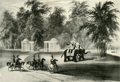 Éléphants et garde du corps dans le parc de Barrackpore, 1820, 1925 - Unbekannt