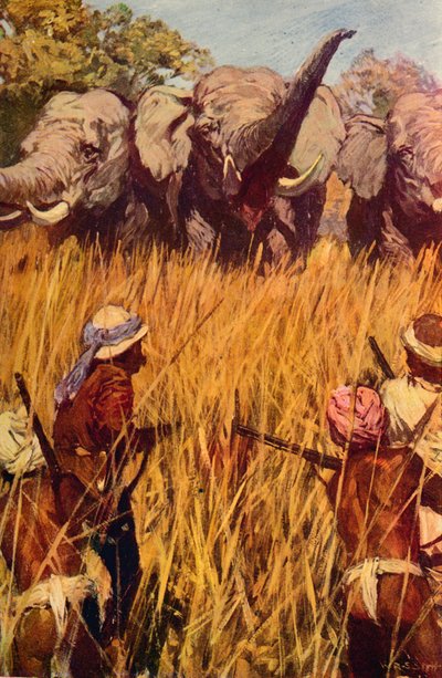 Éléphants en chasse, vers 1850 vers 1912 - Unbekannt