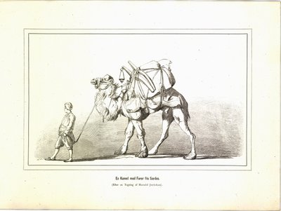 Un chameau avec guide de Sardes. Illustration tirée du livre Brogede rejsebilleder par Jerichau-Baumann, Elisabeth et publié par Forlagsbureauet (Copenhague, 1881) - Unbekannt