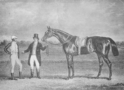 Euclide, deuxième dans le St. Leger, après une égalité avec Charles XII - Unbekannt