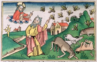 Exode 8:20-32: Moïse et l