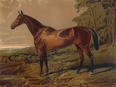Belle Nell, vers 1879 - Unbekannt