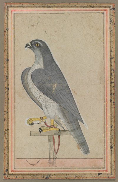 Faucon, vers 1770 - Unbekannt