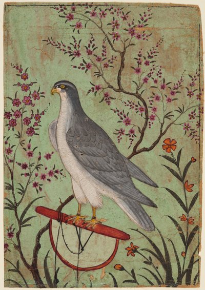 Faucon sur un perchoir, vers 1610 - Unbekannt