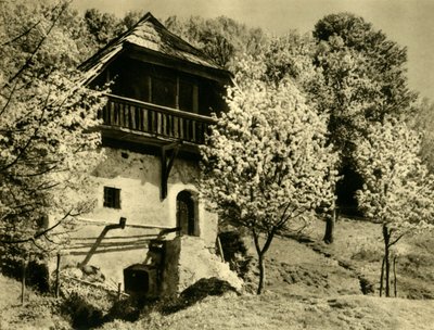 Ferme, Carinthie, Autriche, vers 1935 - Unbekannt