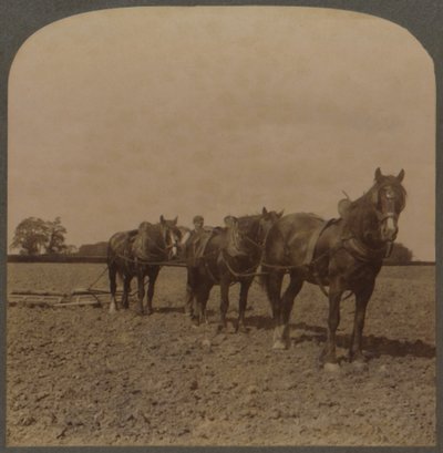 Agriculture en Angleterre - Hersage de la terre, 1909 - Unbekannt