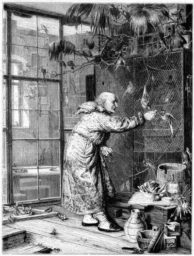 Nourrir les animaux de compagnie, 1880 - Unbekannt
