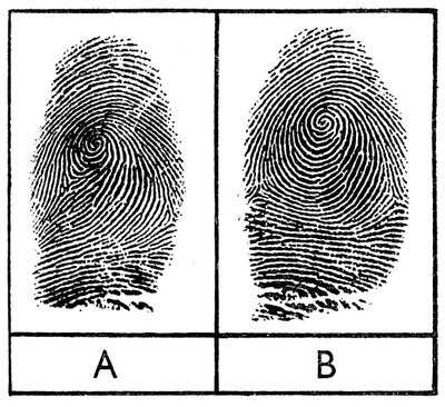 Empreintes digitales de jumeaux identiques - Unbekannt
