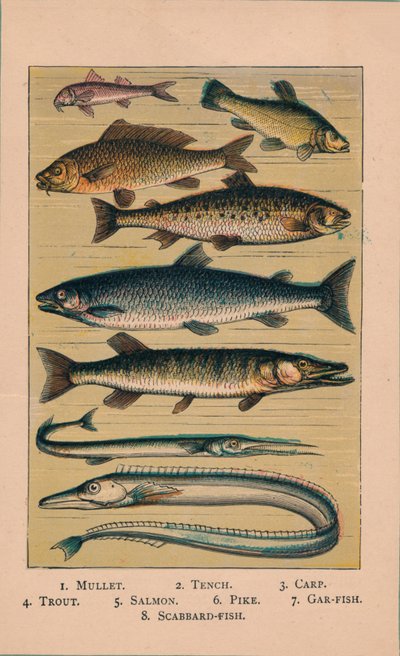 Poisson, 1907 - Unbekannt