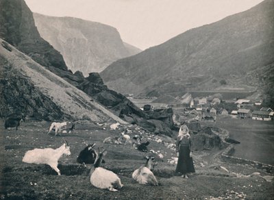 Flaam, 1914 - Unbekannt