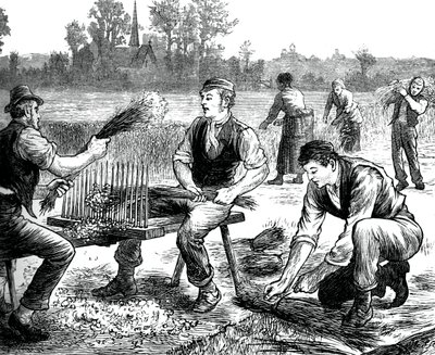 Égrenage du lin, vers 1880 - Unbekannt