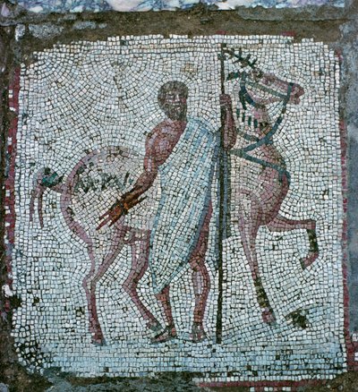 Mosaïque de sol d