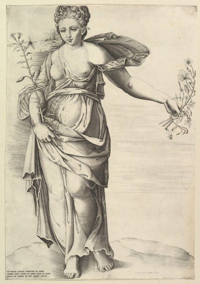 Flore - Unbekannt