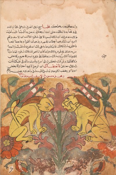 Folio d