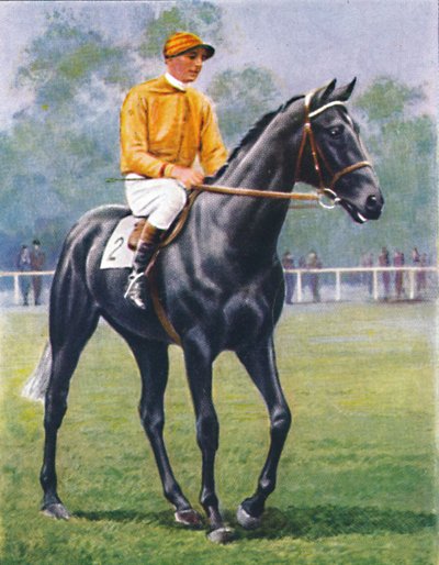 Foray, Jockey : P. Beasley, 1939 - Unbekannt