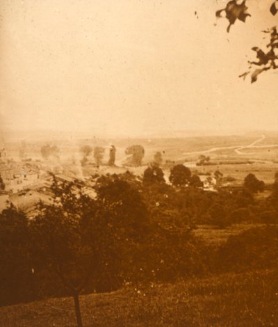 Forêt d