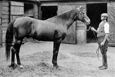 Foxhall, 1880-1904, 1911 - Unbekannt