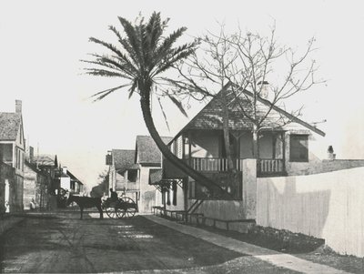 Francis Street, St Augustine, USA, 1895 - Unbekannt