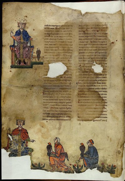 Frédéric II. De Arte Venandi cum Avibus Sur l