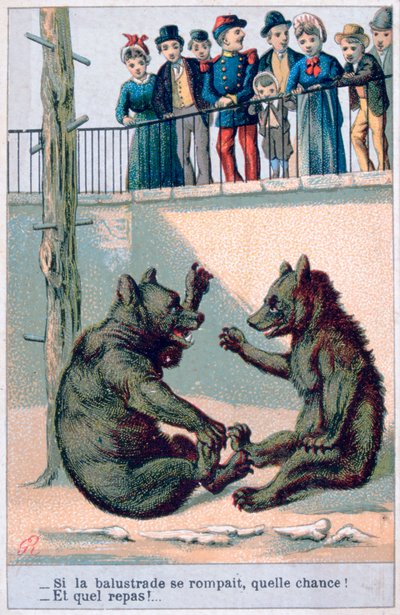 Carte postale zoologique française, XIXe siècle - Unbekannt