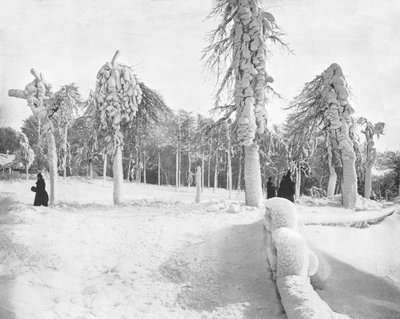 Travail de Givre à Prospect Park, Niagara, USA, vers 1900 - Unbekannt
