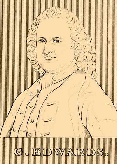 G. Edwards, 1694-1773, 1830 - Unbekannt