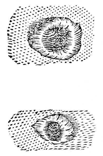 Dessin de cratères lunaires par Galilée, 1611, vers 1655 - Unbekannt