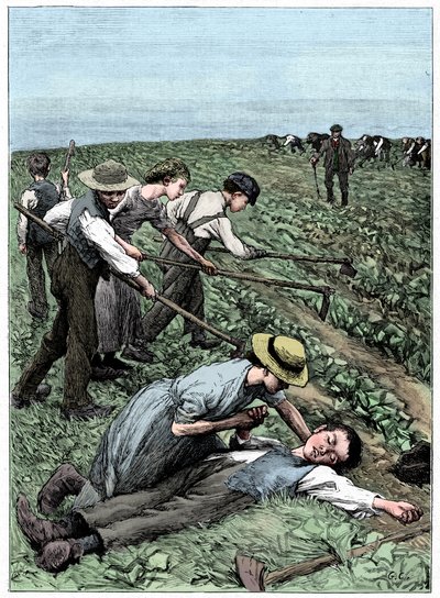 Système de travail des enfants en groupe, vers 1885 - Unbekannt