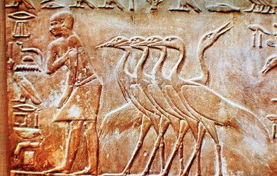 Oies, bas-relief du tombeau de Ptahhotep, Saqqarah, Égypte, 24e siècle av. J.-C. - Unbekannt