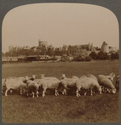 Vue générale du château de Windsor, Angleterre, 1896 - Unbekannt