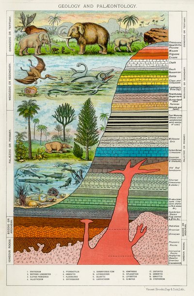 Géologie et Paléontologie - Unbekannt